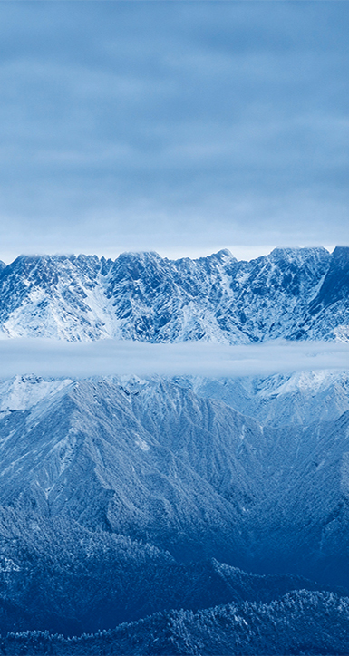 關于人生就是博